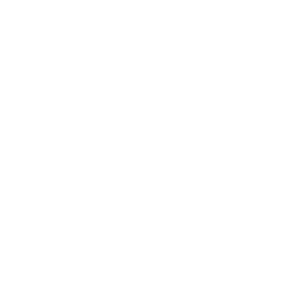 Dammerer-Metall Logo weiß